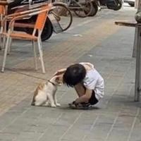 风姿却卓越头像