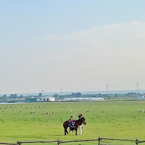 乌审旗察罕苏力德生态游牧旅游有限责任公司头像