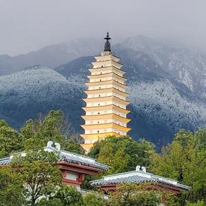 马可说娱乐头像
