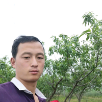 河南华羽鸽业头像