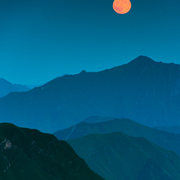 阿白4658的个人资料头像