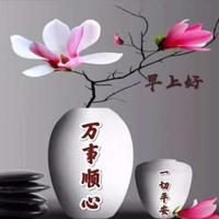 云中蛟龙001头像