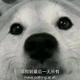 旋风快乐男孩 · 思域车主·车龄3年头像