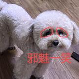 低调的乐哥哥头像