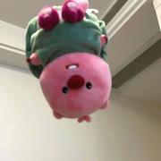 Definition的个人资料头像