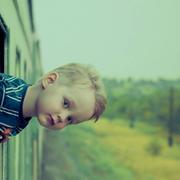 锦毛的个人资料头像