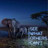 用户7437610796004头像