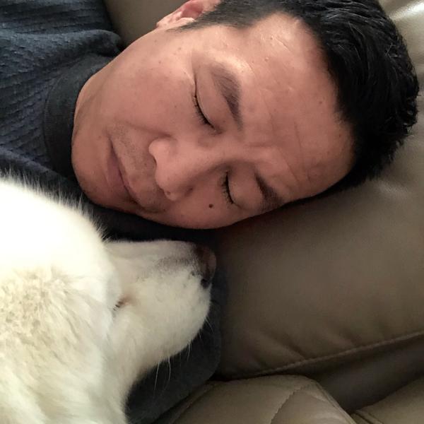 陈仓游记头像