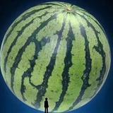 生命中的护花使者头像