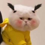 幼稚园的新童鞋的个人资料头像