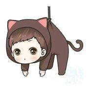 十肆的个人资料头像