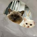 新城铺洗浴王头像