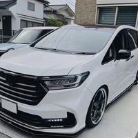 奥利盖儿头像
