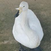 Ezha的个人资料头像