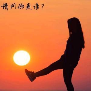 豆豆故事汇头像