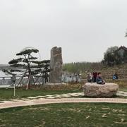 木土555的个人资料头像