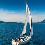 达观天下420头像