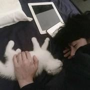 MySunshine的个人资料头像