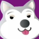 0f0的个人资料头像