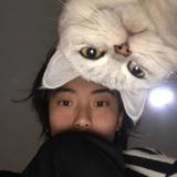 脉动乄头像