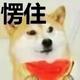 这就是你的实力吗 · 阿特兹车主·车龄2年头像