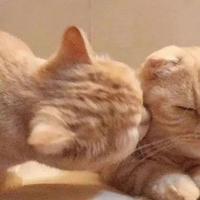 下两河彭于晏头像
