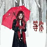 13781076891头像