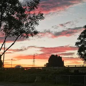文艺比莉5J2I头像