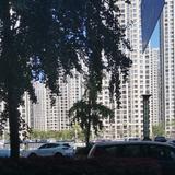 用户1088821745994头像