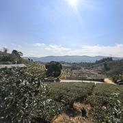 再睡会的个人资料头像