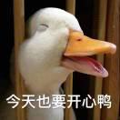 天空为谁蓝的个人资料头像