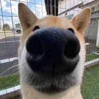 用户9859217792287头像