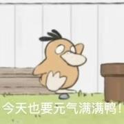落落882的个人资料头像