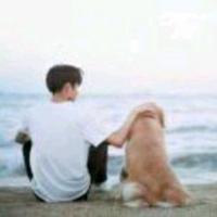 万事如意87312头像