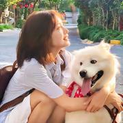 眠眠鹿的个人资料头像