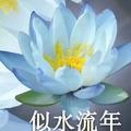 似水流水头像