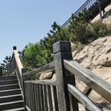 替鬼子说话都是汉奸头像