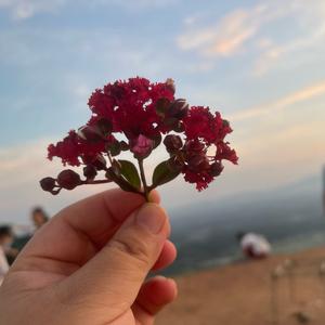 湘苗老师教唱歌（湘乡市）头像