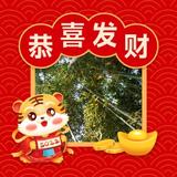 天空之城海陆空头像