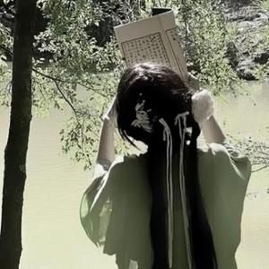 诗辞头像