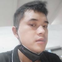 谁看樱花飘落559头像