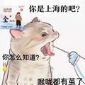沈妍baby头像