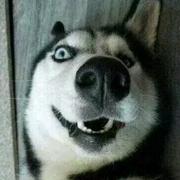 今天来抓谁呢的个人资料头像