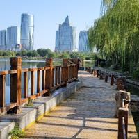 春之雨滴2008头像