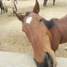 曉在掘金的个人资料头像