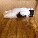 Ezra重名了的个人资料头像