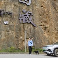 海哥浪天涯头像