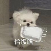 Dyanie的个人资料头像