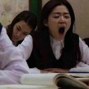 Yolo425的个人资料头像