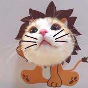 少年gD的个人资料头像